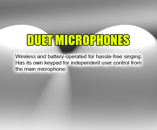 Duet Mic